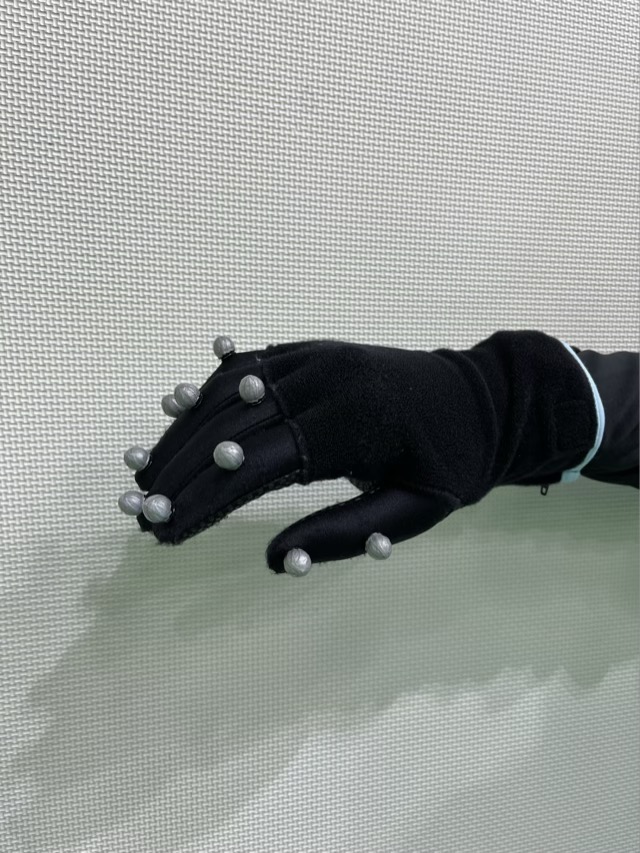 Vicon gloves